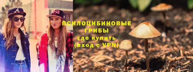 Галлюциногенные грибы Magic Shrooms  как найти закладки  Высоцк 